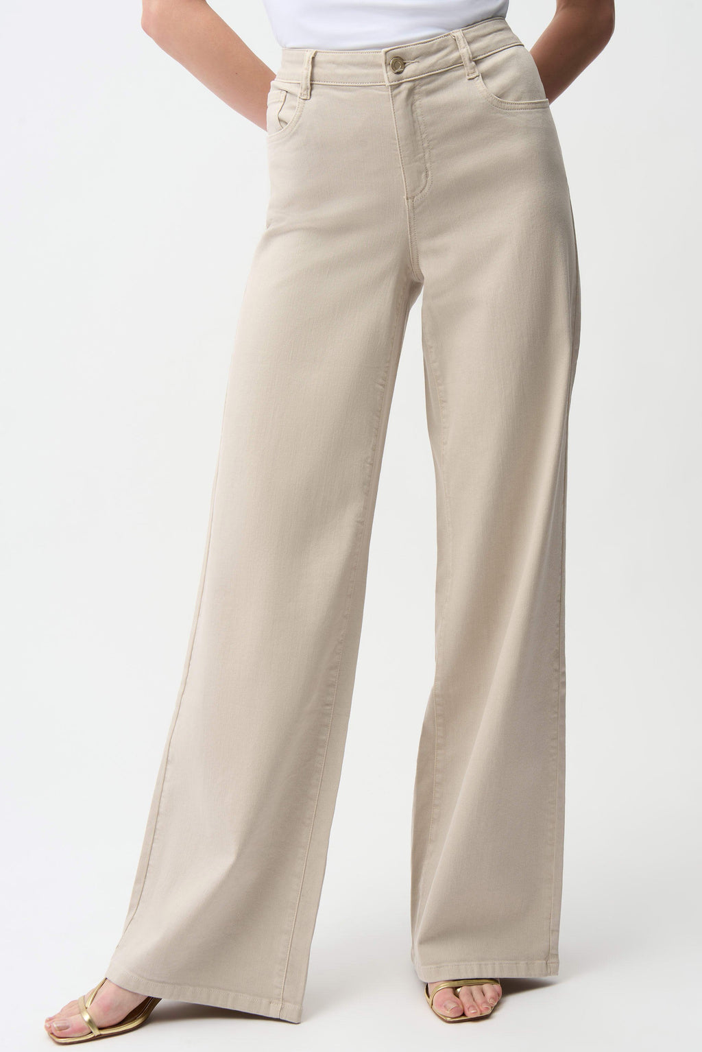 JOSEPH RIBKOFF #253950